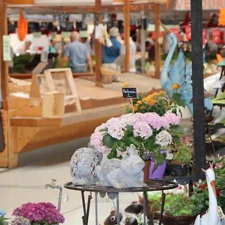 公寓 Spacieux A Avec Terrasse, Garage Privatif, Proche Centre Et Gare - Fr-1-722-2 科尔马